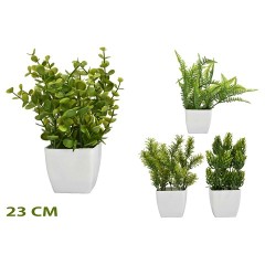 PLASTIC PLANTS 6X12CT
